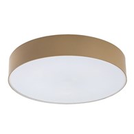 DOLEN 75068