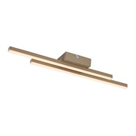 LIRIEN 71492